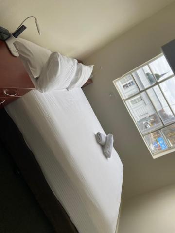 Knickerbocker Hotel 巴瑟斯特 外观 照片